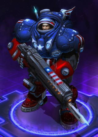 Illustration for article titled The Coolest Heroes of the Storm Alpha Costumes